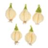 SOLUSTRE 5pcs Fruit Shaped Dish Sponge Set Kitchen Cleaning Sponge Dish Washing Cloth Set view 1