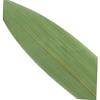 Amosfun 100pcs Leaves Decor Sushi Plate Ornament Bamboo Leaves Sashimi Dish for Sushi Making view 3