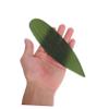 COLLBATH 100pcs Bamboo Leaves Sashimi Decor Mats Sushi Dish Adornments for Japanese Cuisine view 4