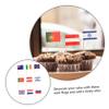 ABOOFAN 150Pcs National Flag Toothpick Flags for Cake Toppers and Fruit Decorations Mixed Style Picks for Parties BBQ and Celebrations view 3