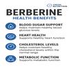 Orion Nutrition Berberine HCl 1200mg, 60 Vegetarian Capsules - Gluten Free & Non-GMO view 3