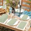 100Pcs Sage Green Disposable Paper Napkins,Decorative Dinner Cocktail Napkin Paper Hand Towels for Easter,Baby Shower,Wedding,Birthday,Party Decorations and Supplies,7.9x4.3 Inch view 4