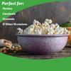 All-in-One Popcorn Party Kit - Includes 4 x Obelys 2lb Gourmet Kernels, 1 Premium Salt Cartons, 1 Gallon Popping Oil, 1 Stainless Steel Shaker & 1 Measuring Spoon for Movie Nights & Celebrations view 3