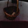 Cabilock 1bag French Oak Chips for Wine Making Chips for Home Brew Aging Whiskey Brandy for Crafting Red Wine view 3