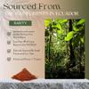 Cream Cocoa - Premium Ecuadorian Cocoa Powder- Unsweetened Cocoa - Rich flavor - Smooth Texture - Ideal for Cakes, Brownies, Cookies, Hot Cocoa, & Other Baked Goods - Imported from Ecuador view 3