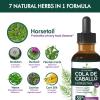 Selvaherb Horsetail Herb (Cola de Caballo Hierba) Drops for Body Detox Support, 7-in-1 Herbal Supplement for Urinary Tract & Digestive Health with Dandelion Burdock Extract. 2oz view 4