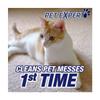 R'esolves Pet Expert High Traffic Carpet Cleaner Foam, 3X Pet Hair and Dirt Removal, 22oz, 1 Pack view 2