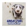 R'esolves Pet Expert High Traffic Carpet Cleaner Foam, 3X Pet Hair and Dirt Removal, 22oz, 1 Pack view 4