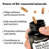 8800mg Shilajit, Maca Root, Ginkgo Biloba, Sea Moss, Ashwagandha, Panax Ginseng, Safed Musli & Zinc| Boost Stamina & Energy, 120 Capsules| 95 + minerals| All in One Herbal Supplement for Men & Women view 2