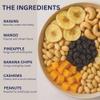 Platinum - Fruit and Nut Trail Mix - 22 oz Resealable Bag | Banana Chips, Raisins, Mango, Pineapple, Cashews & Peanuts | Healthy Snack Mix for On-the-Go, Hiking, Lunchboxes & More | Fresh & Crunchy view 4