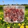 Dried Fruit Snack Group (2 PACKS, KUMQUAT GOOSEBERRY) view 3