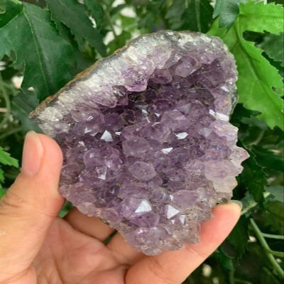 GAF TREASURES XL Raw Amethyst Cluster, 3-4" Natural Rough Amethyst Cluster, Amethyst Cluster Rough, Amethyst Cluster Healing Rough Crystal (Amethyst Cluster, 0.5-1 lb)