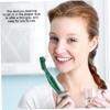 ZUNOXAZ 3pcs Dual-Head Denture Brush Ergonomic Handle Lightweight Cleaning Tool for False Teeth Care Hard Bristles for Stain Removal and Easy Grip view 4