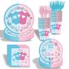 100PCS Party Plates Supplies Kit for Gender Reveal,Boy or Girl Birthday Party,Baby Shower Pink and Blue Disposable plates,Napkins,Paper Cups, Serves 20. view 1