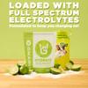 Gnarly Nutrition Hydrate Electrolyte Powder Salted Margarita Exercise Hydration Drink Mix NSF Sport Certified Electrolyte Solution, Performance & Recovery Salted Margarita, 14.10 oz view 3