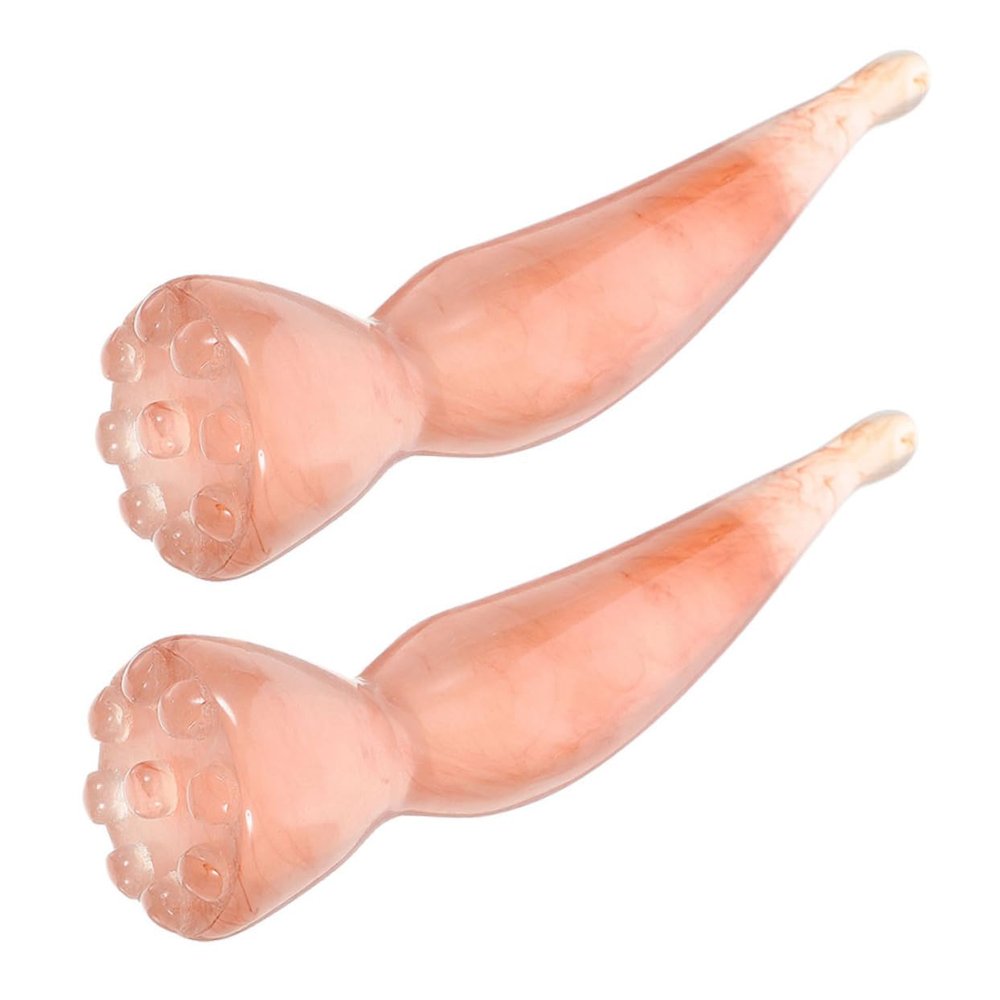 SEWOART 2pcs Facial and Neck Massager Acupoint Guasha Tools Hot Face Massager for Relaxation and Skin Care