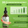 12-in-1 Organic Moringa Drops with Ashwagandha Turmeric Quercetin, Lipsomal 98% Absorption & Extract for Energy Immune Joint Digestive Metabolism, Vegan Non-GMO, More Potency Than Moringa Powder view 3