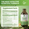12-in-1 Organic Moringa Drops with Ashwagandha Turmeric Quercetin, Lipsomal 98% Absorption & Extract for Energy Immune Joint Digestive Metabolism, Vegan Non-GMO, More Potency Than Moringa Powder view 4