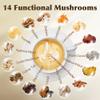 Mushroom Coconut Creamer, Natural Creamer for Coffee, 14 Mushrooms Extract |Lion's Mane, Turkey Tail, Reishi, Maitake, Chaga and Ceylon Cinnamon | Boosts Focus, Immunity and Energy | 6.35oz view 2