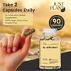 St. Johns Wort Capsules 750 mg, 90 Count | Natural Stress Support | with Hypericum Perforatum Extract Herbal Mood Support Gluten-Free, Non-GMO Made in USA view 4