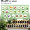20-Pack Essential Oils Set Aromatherapy Oils for Diffusers, Humidifiers, Skin Care, Massage, Candle & Soap Making 5ML Each view 3