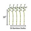5 Stalks of 18 Inch Spiral Lucky Bamboo with one Free Bottle of Plant Food view 2