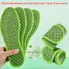 10Pairs Luxury Individually Wrapped Sweat Absorption self-Adhesive Travel Shoe Inserts; Anti Displacement Running Shoe Liners;Odor Eliminator Shoe Inserts for Travel,Hiking,Daily Use (41: 25.5cm) view 4