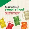 Snak Club Tajin Gummy Bears, Assorted Fruit Candy Gummies with Chili and Lime Seasoning, Mild, Gluten-Free and Vegan Snacks, 20 oz Resealable Bag view 3