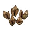3-4 in. Natural Sora Pods view 1