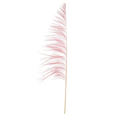 60-72 in. Light Pink Uva Palm Spray - 10 per Bunch
