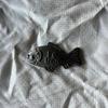 Iron Bird Cooking Tool Natural Iron Supplement for Anemia & Iron Deficiency | Reusable Cast Iron Fish for Healthy Meals | Ideal for Vegans and Pregnant Women view 4