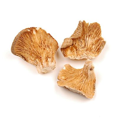 Essential Spice Dried Oyster Mushrooms, 25 lb Whole, Delicate Umami Flavor, Premium Quality Ideal for Stir-Fries, Soups, Sauces & Broths Easy to Rehydrate, Tender Texture, Gourmet Pantry Staple