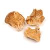 Essential Spice Dried Oyster Mushrooms, 25 lb Whole, Delicate Umami Flavor, Premium Quality Ideal for Stir-Fries, Soups, Sauces & Broths Easy to Rehydrate, Tender Texture, Gourmet Pantry Staple view 1