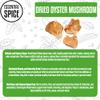 Essential Spice Dried Oyster Mushrooms, 25 lb Whole, Delicate Umami Flavor, Premium Quality Ideal for Stir-Fries, Soups, Sauces & Broths Easy to Rehydrate, Tender Texture, Gourmet Pantry Staple view 3
