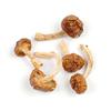 Essential Spice Dried Nameko Mushrooms Mild, Buttery Flavor with Silky Texture Ideal for Soups, Stir-Fries, Ramen & Asian-Inspired Dishes Easy to Rehydrate, Versatile Pantry Staple (25, 25, Pound) view 1