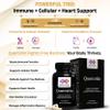 Biosyntra Pure Quercetin 500mg - Pure Quercetin Capsules for Immune Support & Cellular Protection Gluten-Free, Non-GMO, 120 Capsules view 4