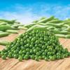 Salutem Vita Steamable Frozen Sweet Peas, 10 oz, Gift Set Pack of 10 view 4