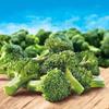 Salutem Vita Frozen Baby Broccoli Florets, Premium Vegetable, 12.6 oz, Gift Set Pack of 10 view 4