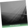 BAZEITFLOW 300pcs Multi-use Cellophane Wraps Decorative Sheets Light-transmitting for Diy Wrapping view 2