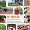 Villakuyaya Dark Chocolate Pearls Almonds 65% Rich Ecuadorian Cacao with Crunchy Roasted Almonds, Gourmet 6oz Jar (Pack of 10) view 4