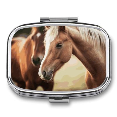 Adorable Horse Pill Box 2 Compartment Pill Case Portable Pocket Pill Organizer Medicine Vitamin Organizer for Men Women