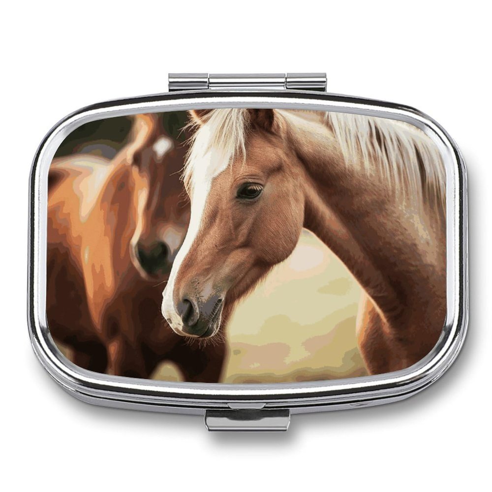 Adorable Horse Pill Box 2 Compartment Pill Case Portable Pocket Pill Organizer Medicine Vitamin Organizer for Men Women