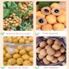 Natural Dried Longan Pulp 100% Fruit 36 oz,1000g Vegetarian rich nutrition vitamin, Vacuum packaging view 3