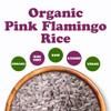 Food to Live Organic Pink Flamingo Rice, 20 Pounds Italian Aromatic Rice, Ideal for Salads, Bowls, Pilaf and Sides, Non-GMO, Vegan, Kosher, Bulk view 3