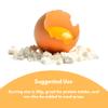 BUY THE CRAVE Egg Protein Powder, Egg White Powder, Soybean Powder Lactose Free Protein Powder - Unflavored & Dairy Free (32 OZ) view 4