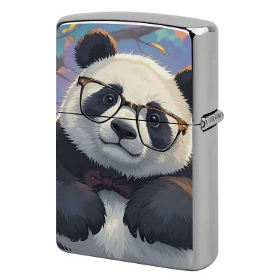 Panda with A Tilted Head Classic Lighter Case, Novelty Creativity Lighter Housing Vintage Cool Lighter Cover for Men Dad Husband Gift Collect
