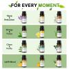 12 Pack Essential Oils for Diffusers for Home - Water Soluble Diffuser Oils Set for Humidifiers & Spa, Scented Oil with Wooden Gift Box for Women - Lavender, Peppermint, Sweet Orange, Tea Tree & More view 2