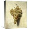 16 in. White Grapes - Raisons Blancs Art Print - Louis Leopold Boilly view 1