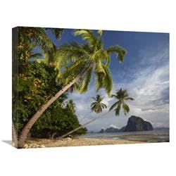 18 x 24 in. Palm Trees, Pinagbuyutan Island, Palawan, Philippines Art Print - Tim Fitzharris
