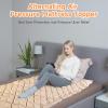 Alternating Air Pressure Mattress with Electric Pump, Beds Bubble Pad Cushion for Bed Sore Prevention and Pressure Ulcer Relief, Hospital & Home Use Medical Bed Mattress Topper view 2